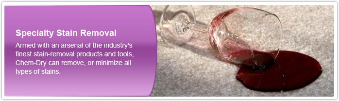 img_header_specialtyStain