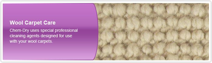 img_header_wool