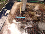 oriental rug cleaing